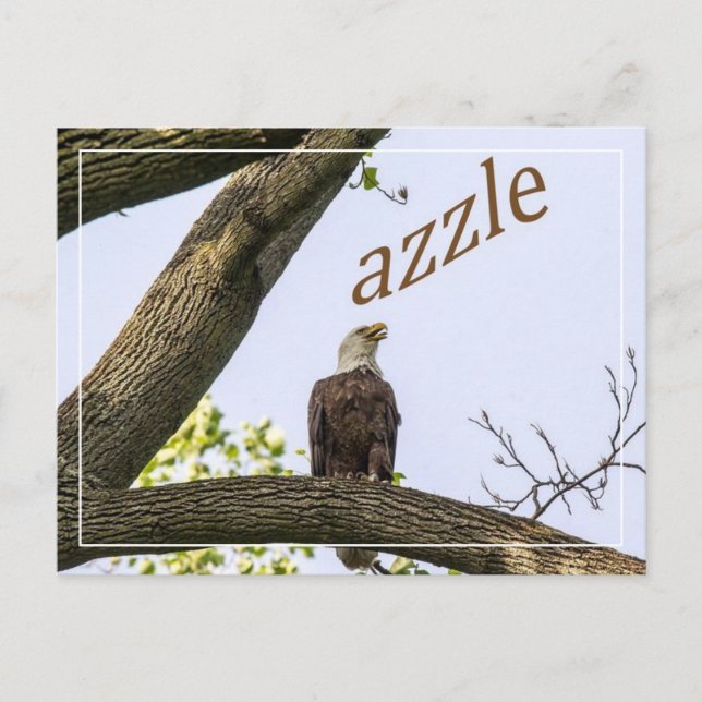 Din Logotyp här Vykort (Framsida)