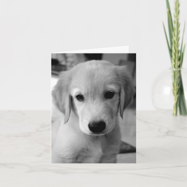 Din marionett saknas kort (Framsida)