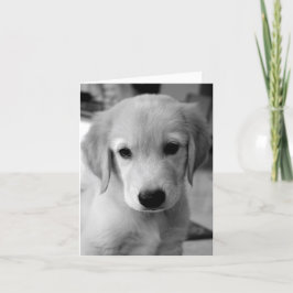 Din marionett saknas kort