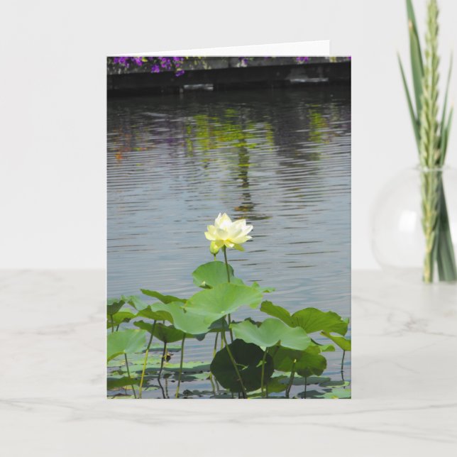 Din meddelande~ 26 tack kort (Framsida)