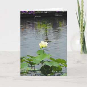 Din meddelande~ 26 tack kort