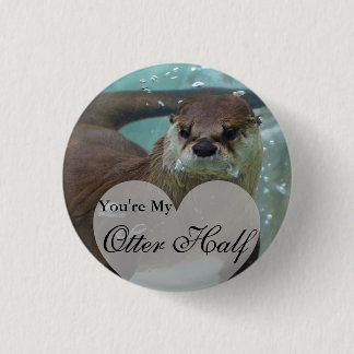 Din Otter Halva Brown River Otter Swiming Knapp