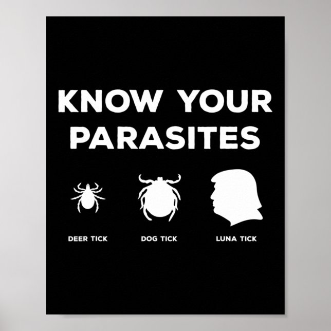 Din parasis är ingen annan än antitrumpprotesten C Poster (Framsidan)
