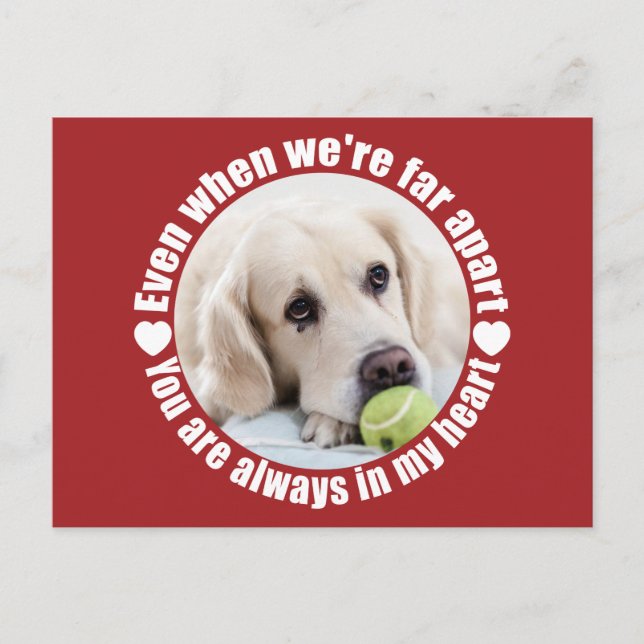 DIN PHOTO-vykort långt bort från Kärlek anpassning Vykort (Framsida)