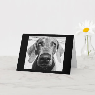 DIN RETIRERING "LUCKY HUND"! KORT