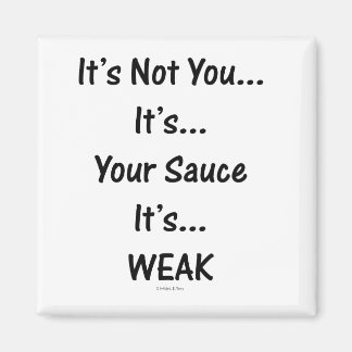 Din såsenmagnet magnet