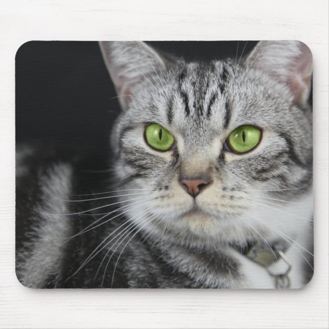 Din söta katt foto anpassad musmatta (Framsidan)