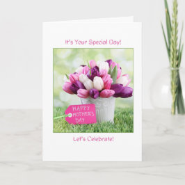 Din Speciella dag (1 Samuel 1:26-27) Kort