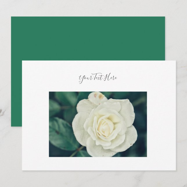 Din text fantastisk vit ros blomma inbjudan (Fram/baksida)