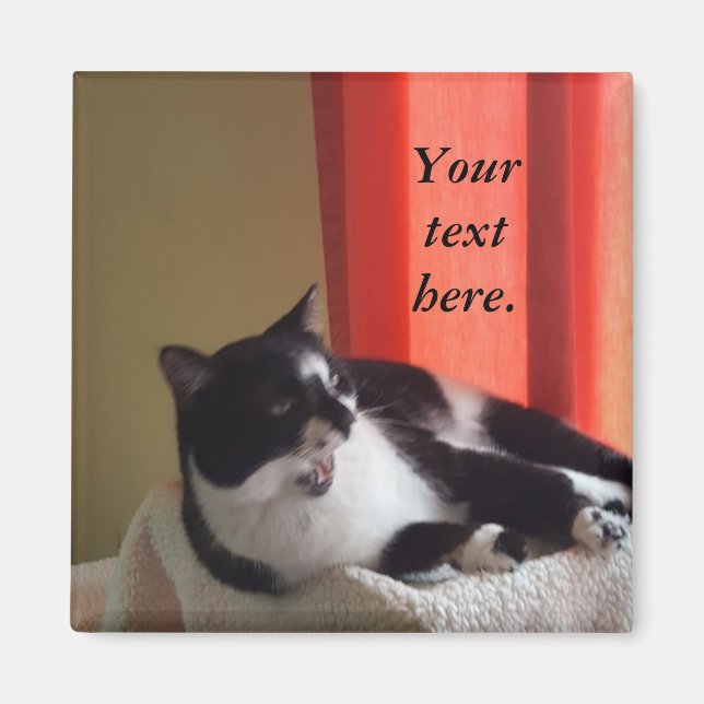 Din text Ord Tuxedo Cat Photo Magnet (Framsidan)