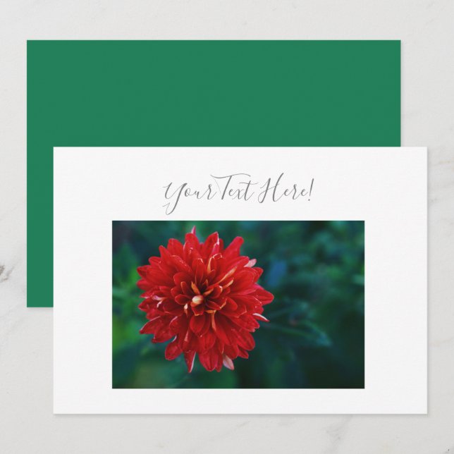 Din Text Praktfull Röd Dahlia Blomma Inbjudan (Fram/baksida)