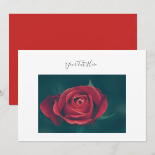 Din Text Praktfull Röd Ros Blomsterinbjudan Inbjudningar
