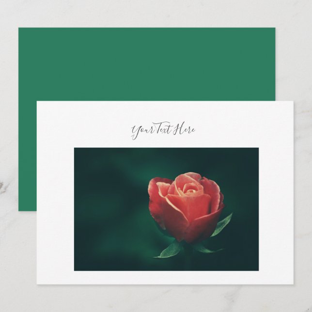 Din text vacker röd ros blomma inbjudan (Fram/baksida)
