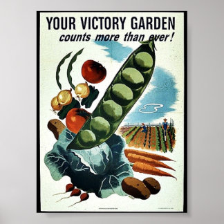 Din Victory Garden Poster