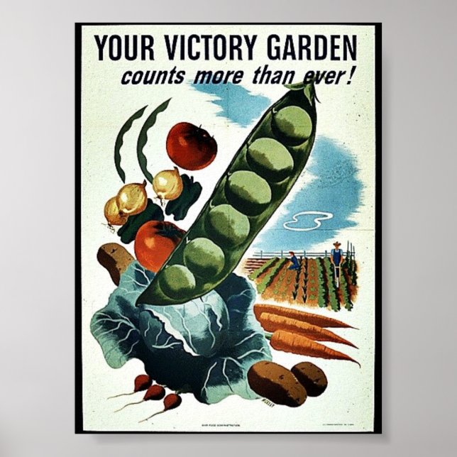 Din Victory Garden Poster (Framsidan)
