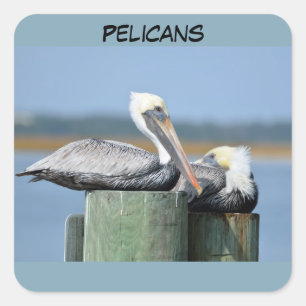 Dina Anpassningsbar Square Stickers Pelicans Fyrkantigt Klistermärke