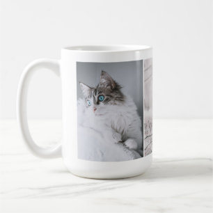 Dina katt hund husdjur foton collage kaffemugg