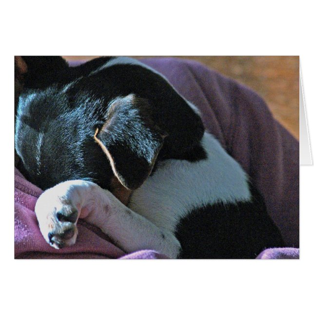 DINA TANKAR HÄLSNINGSKORT (Framsidan Horizontal)