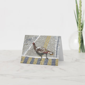 Dindee i övergångsställe downtown. kort