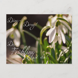 Ding-Dong! Der Frühling ist da! Vykort