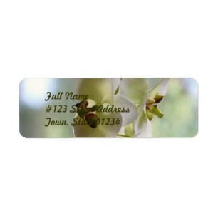 Dingla Orchidbrevskickandeetiketter Returadress Etikett