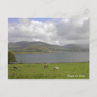 Dingle Bay, Co. Kerry Vykort