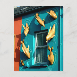 Dingle Dolphins on Souvenir Shop Vykort