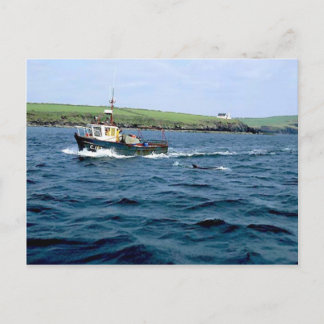 Dingle Fungi delphin.jpg Vykort