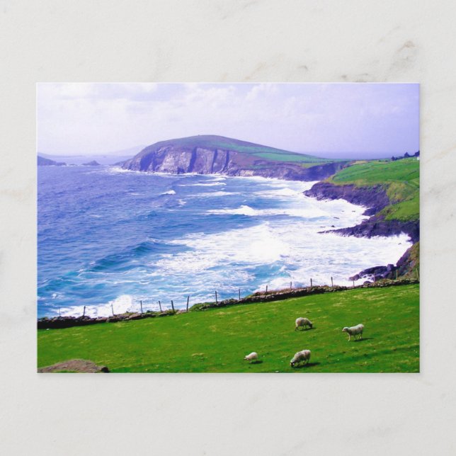 Dingle Ireland vycard Vykort (Framsida)