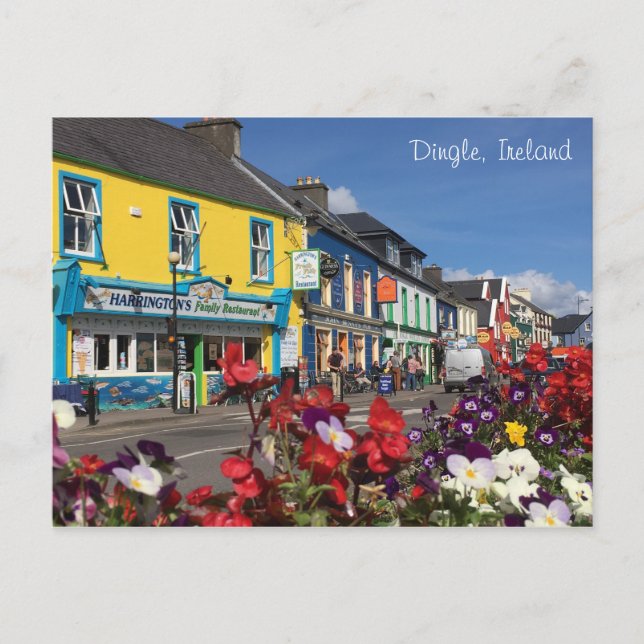 Dingle Irland vykort (Framsida)
