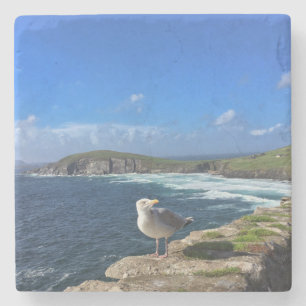 Dingle Peninsula, Irland, Fiskmås Underlägg