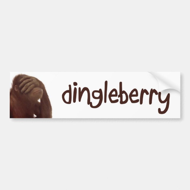 dingleberry bildekal (Framsidan)