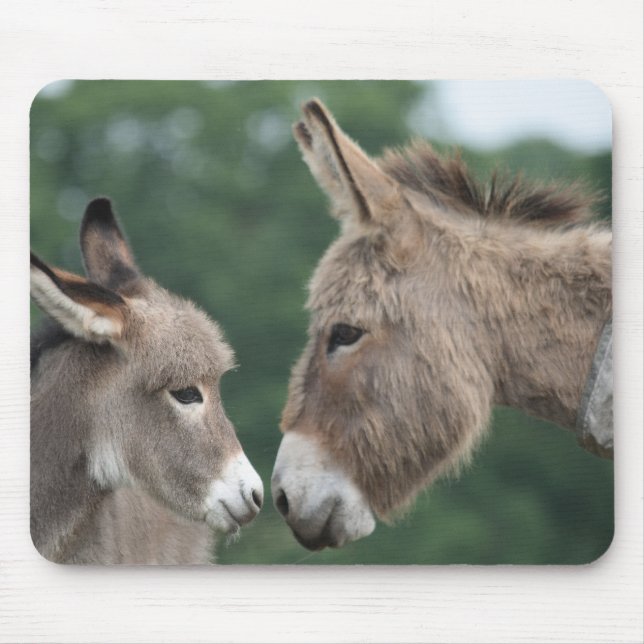 Dinky donkey musmatta (Framsidan)