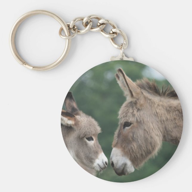 Dinky donkey nyckelring (Framsidan)