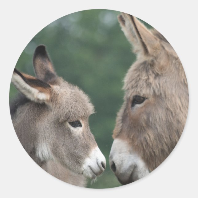 Dinky donkey runt klistermärke (Framsida)