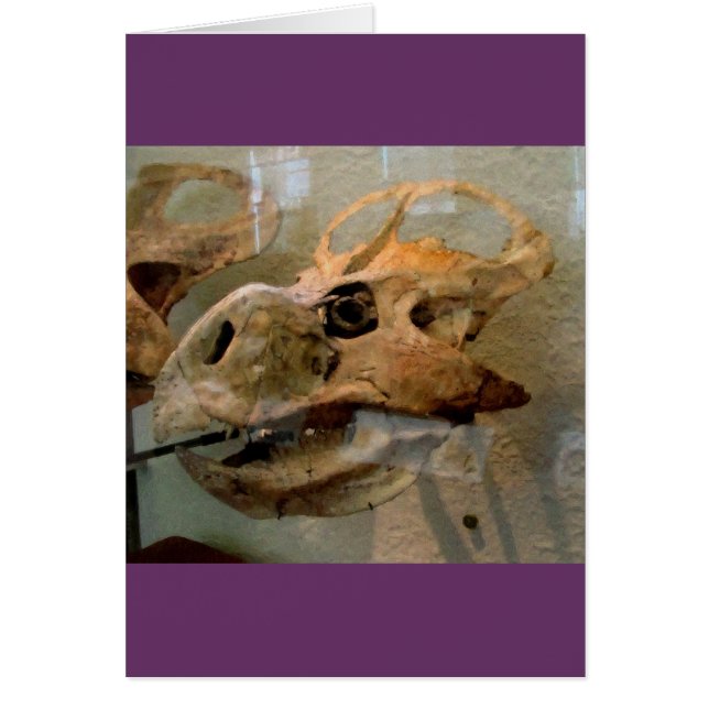 Dino Skull Hälsningskort (Framsidan)