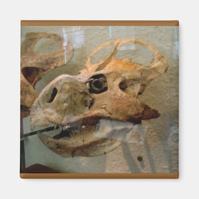 Dino Skull-Oljemålning Magnet (Framsidan)