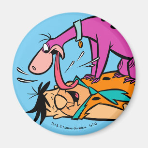 Dino som slickar den Fred flintstonen Magnet