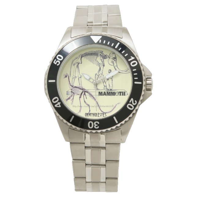 "DINO-TIME" ARMBANDSUR (Framsida)