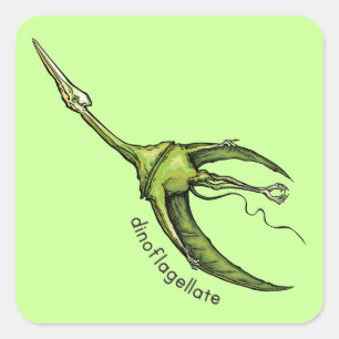 Dinoflagellate Fyrkantigt Klistermärke