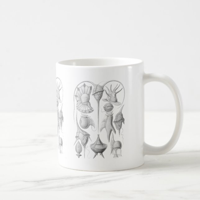 Dinoflagellates Kaffemugg (Höger)