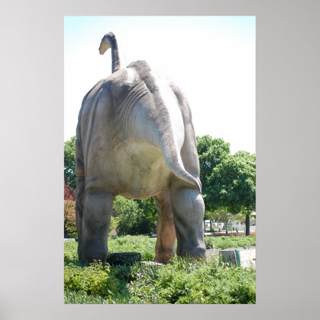 Dinosaur Brontosaurus Poster (Framsidan)