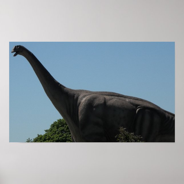 Dinosaur Brontosaurus Poster (Framsidan)