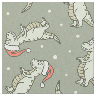 Dinosaur Christmas Boy Santa Claus Dino T-Rex Sage Tyg