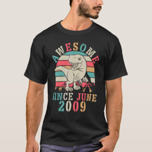 Dinosaur Dance Birthday 13 Years Old Fantastisk se T Shirt