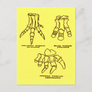 Dinosaur Foot Bones Vykort