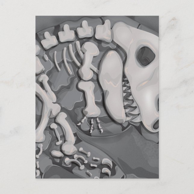 Dinosaur Fossil Vykort (Framsida)