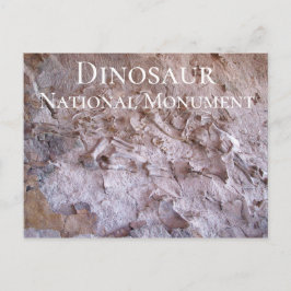Dinosaur Fossils Dinosaur National Monument Quarry Vykort