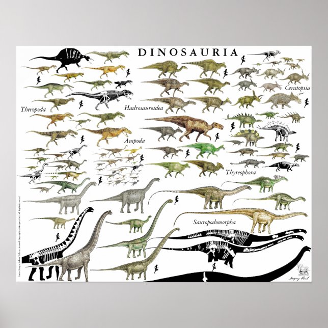 Dinosaur Groups  Poster Chart Gregory Paul #1 (Framsidan)