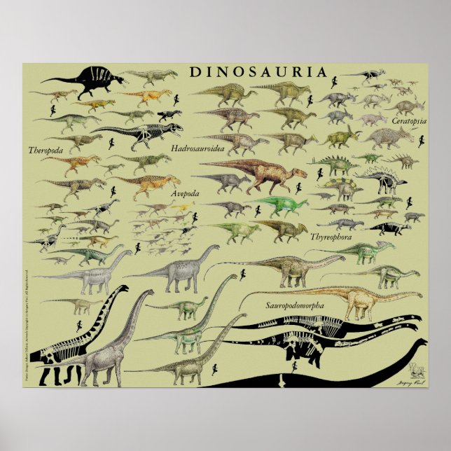 Dinosaur Groups  Poster Chart Gregory Paul #2 (Framsidan)